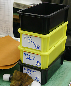 https://www.herzbag-jp.live/blog/oldblog/pictures/IMG_2043.jpg