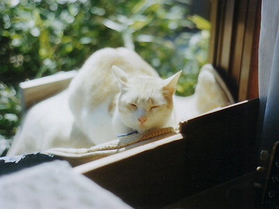 https://www.herzbag-jp.live/blog/oldblog/pictures/Scan10001.jpg