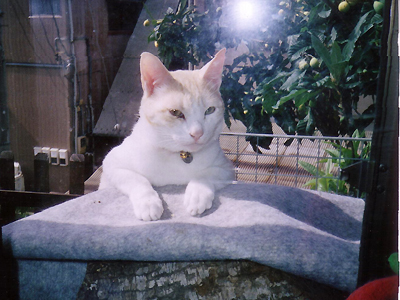 https://www.herzbag-jp.live/blog/oldblog/pictures/Scan10003.jpg