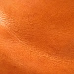 MONTHLY LEATHER 革