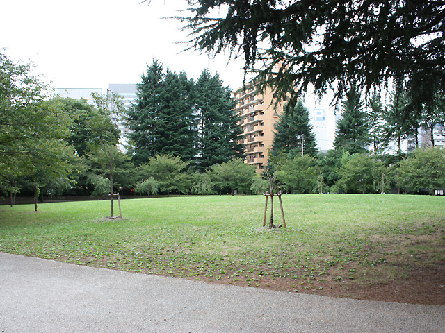 錦町公園 3