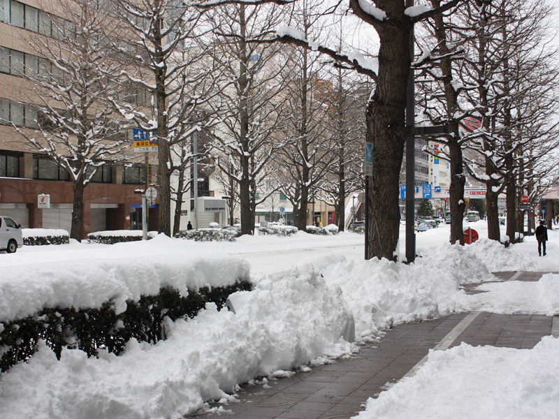 雪