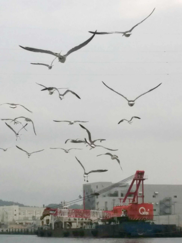 3KESENNUMA