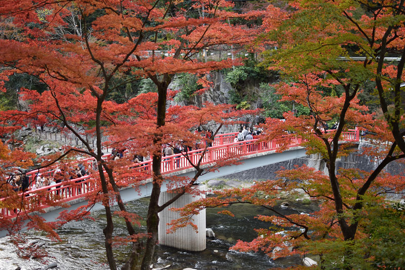 香嵐渓の紅葉4