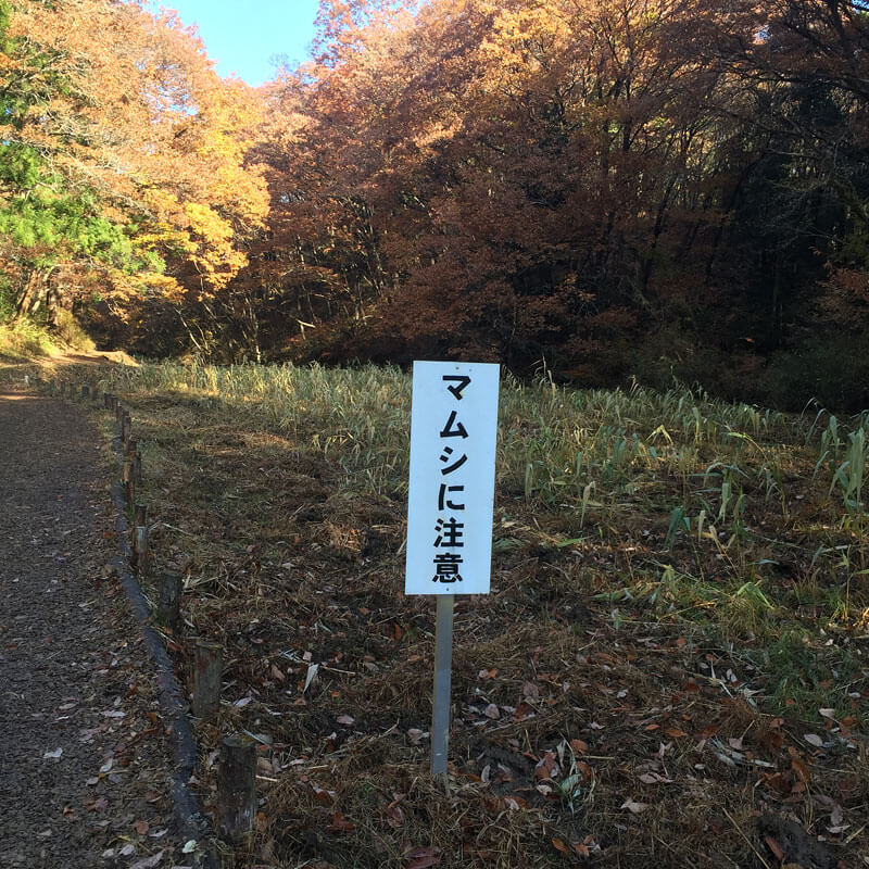 マムシに注意